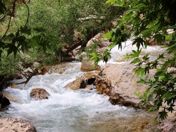 بازداشت برخی از کشاورزان و باغداران روستای مهریان یاسوج  یک عضو شورا در بیمارستان بستری شد