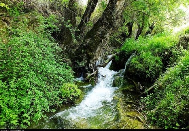 فاز دوم ساخت اردوگاه تفریحی رود رونه باشت آغاز شد