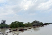 سیلاب در رودخانه فصلی ندوشن جاری شد