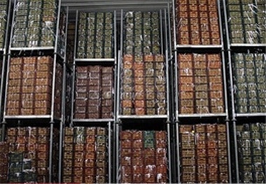 شتاب توسعه سردخانه ها و انبارهای  نگهداری محصولات کشاورزی