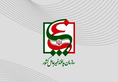 معاون سازمان پدافند غیرعامل: مقابله با تهدیدات ترکیبی دشمن نیازمند همت همگانی و آمادگی ملی است