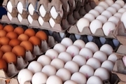 قیمت انواع تخم مرغ اعلام شد؛ 10 تیر 1401 + جدول