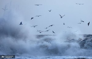 منتخب تصاویر امروز جهان - 21 دی 1401