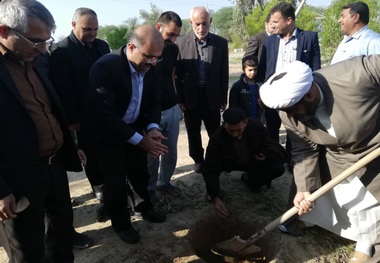 طرح جنگلانه در شوشتر اجرا شد