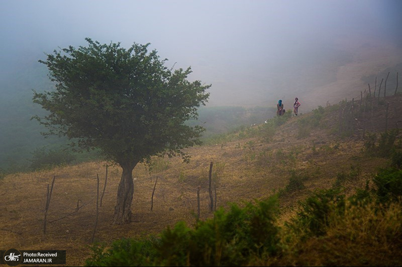 منتخب تصاویر امروز جهان- 21 تیر