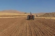 ۸۸۰۰ هکتار از اراضی اشنویه به کشت گندم پاییزه اختصاص یافت