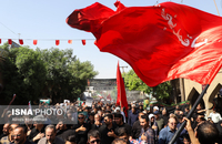 63508658_Alireza-Mohammadi-3062