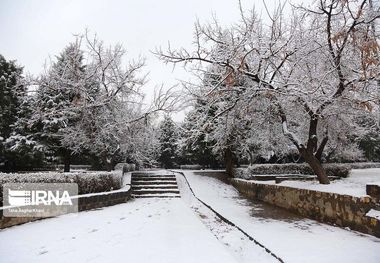 سمنانی برفی و بارانی می‌شود