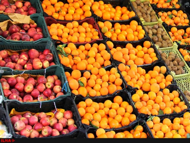 توزیع میوه تنظیم بازار در خراسان رضوی آغاز شد