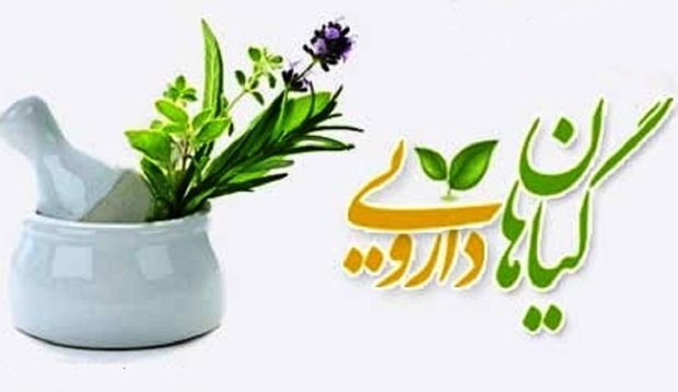 عرضه داروهای گیاهی در واحدهای صنفی گیاهان دارویی ممنوع است