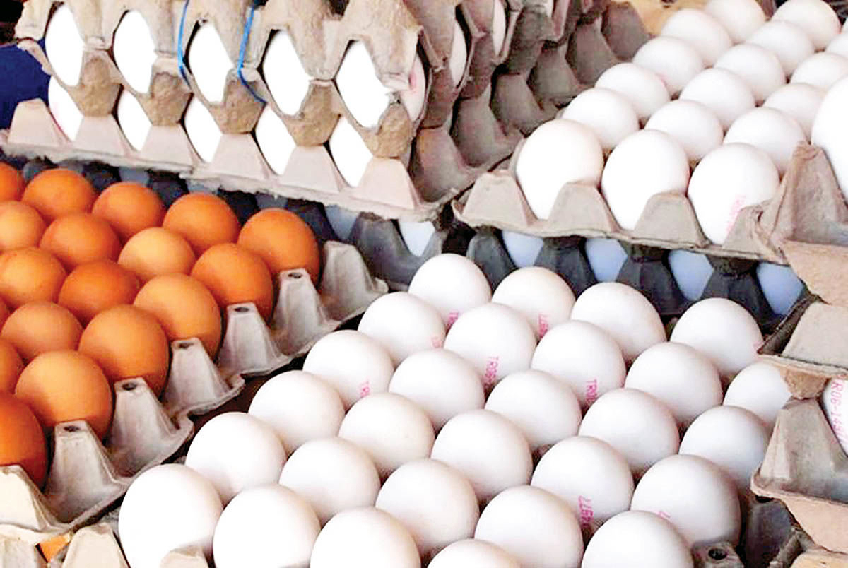 دو دلیل جدید برای گرانی تخم مرغ پیدا شد: آنفلوآنزای پرندگان و جنگ اوکراین!