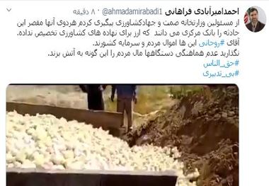 واکنش عضو هیات رییسه مجلس به انتشار تصاویر معدوم سازی جوجه های یک روزه 