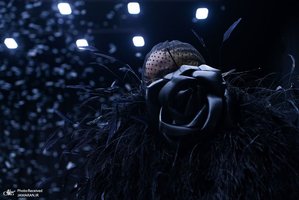 منتخب تصاویر امروز جهان - 30 شهریور 1401