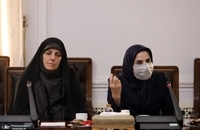 نشست هیئت پیگیری اجرای قانون اساسی (10)