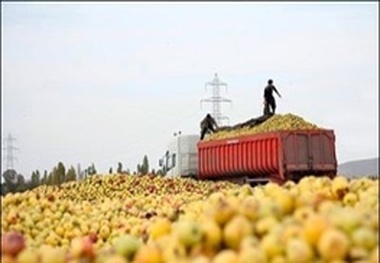 معاون باغبانی وزیر جهاد کشاورزی به ارومیه می آید