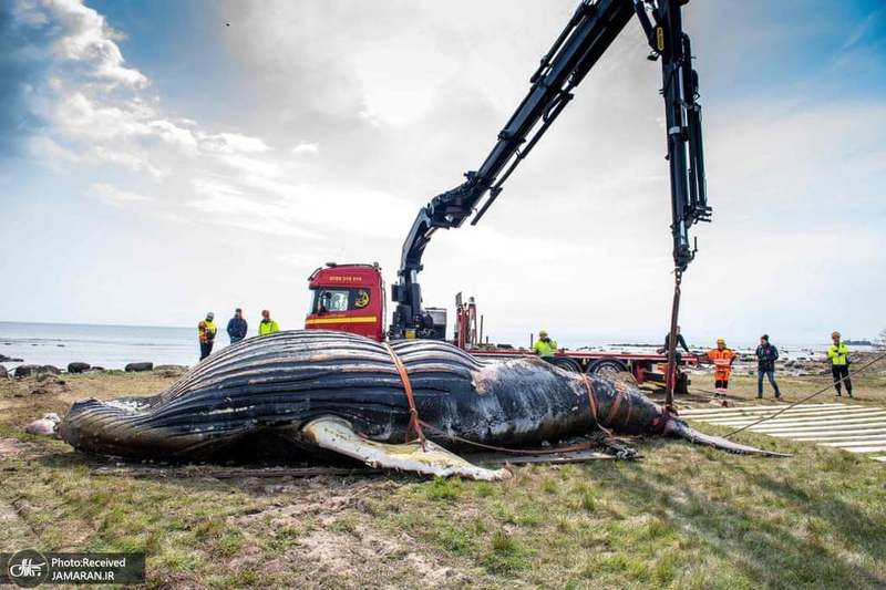 منتخب تصاویر امروز جهان- 14 اردیبهشت 1400