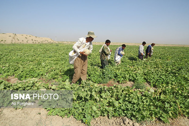 وقتی آب گره از کار زمین باز می کند