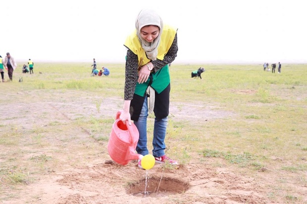 10 هکتار زمین در خوزستان به زیر کشت نهال رفت