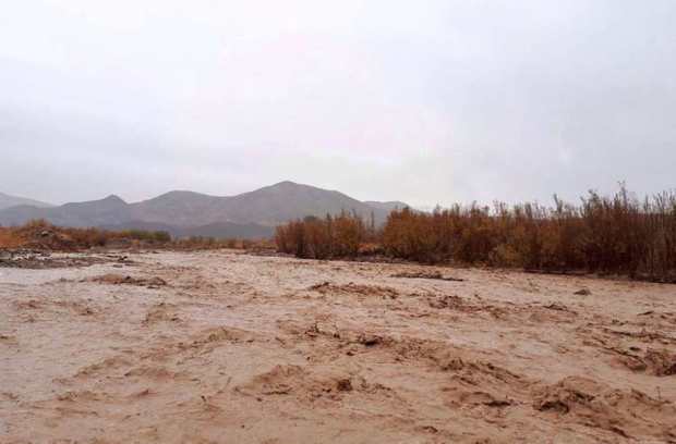 سیلاب جاده روستای چهار باغ نیشابور را مسدود کرد
