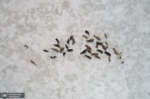 منتخب تصاویر امروز جهان- 18 خرداد 1400