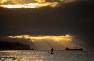 منتخب تصاویر امروز جهان- 16 دی