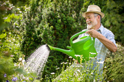 باغبانی به حفظ سلامت سالمندان کمک می کند