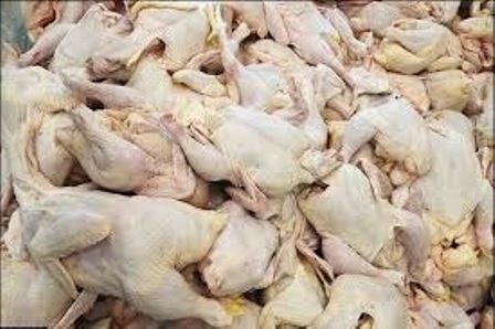 255 کیلو گرم گوشت مرغ غیر مجاز در قزوین کشف و ضبط شد