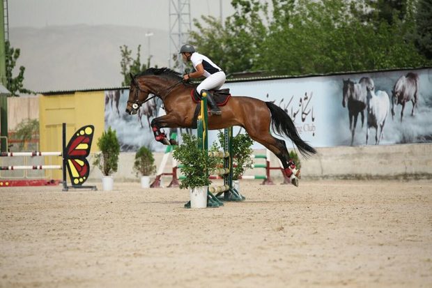 260 سوارکار درمسابقات پرش با اسب تهران شرکت کردند