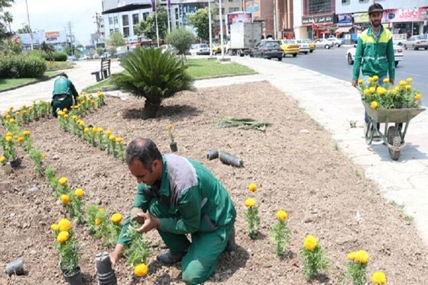 آماده‌سازی معابر تالش برای بازگشایی مدارس