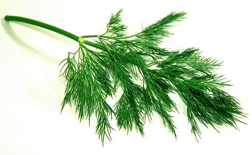 غلبه بر چربی خون بالا با یک خوراکی خانگی
