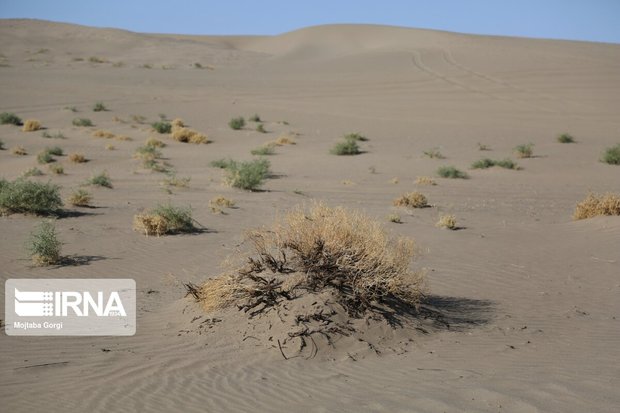 ‍ توقف فرسایش خاک باعث کاهش گردوغبار در سیستان و بلوچستان می‌شود