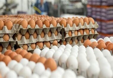 ترکیب شیر و تخم مرغ، معجونی برای ورزشکاران
