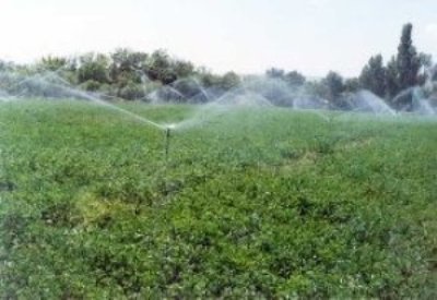 افزایش 100 هزار هکتاری اراضی آبی   مهمترین برنامه دولت برای رونق کشاورزی استان ایلام