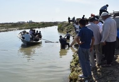 بچه ماهیان پرورشی در رودخانه های گلستان رها شد