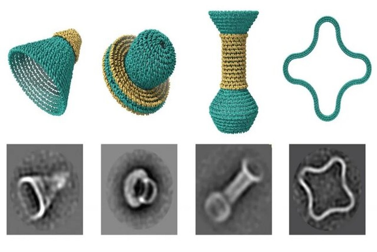 کوزه‌گری با DNA!
