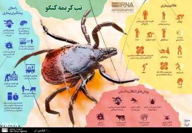 فرد بستری شده در بیمارستان نوشهر مبتلا به بیماری تب کریمه کنگو است