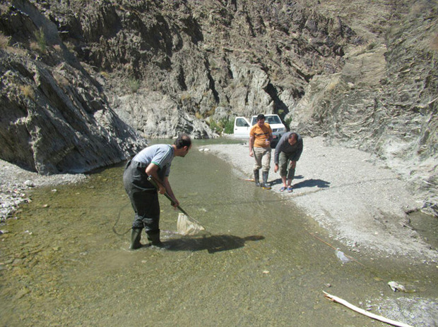 رودخانه های فصلی نیکشهر مورد سلامت اکولوژیکی قرارگرفتند