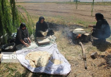 مشارکت‌جویی بیمه‌ای بانوان روستایی شیروانی بالاتر از استان