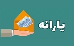 جزییات یارانه طلایی 20 میلیون تومانی که زاکانی وعده داد! + فیلم