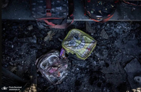 آتش سوزی در لس آنجلس آتش سوزی در کالیفرنیا (6)