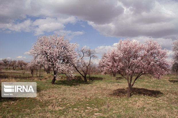 روستاهای خراسان شمالی قربانی خودخواهی گردشگران