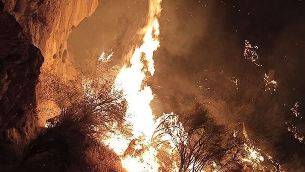 پنج هکتار از مراتع طبیعی ایلام در آتش سوخت