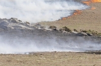 آتش‌ سوزی پرتغال و اسپانیا