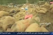  عاقبت مزدوران سودانی ارتش سعودی در یمن