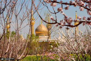 حال و هوای بهاری در حرم مطهر امام خمینی (س)