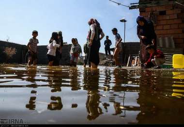 آمار گزش خزندگان در مناطق سیل زده آق قلا اندک است