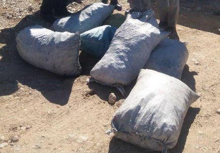 دستگیری 2 متخلف قاچاق چوب در منطقه حفاظت شده هلن چهارمحال و بختیاری