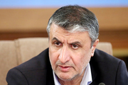 وزیر راه: ایران و اوکراین بصورت مشترک جعبه سیاه را بررسی می‌کنند