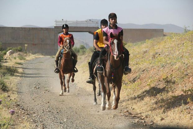 مسابقه اسب‌سواری جام آذربایجان در مرند برگزار می‌شود