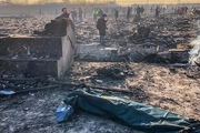 100 نفر از قربانیان سقوط هواپیما شناسایی شدند/ تحویل30 پیکر به خانواده هایشان 
